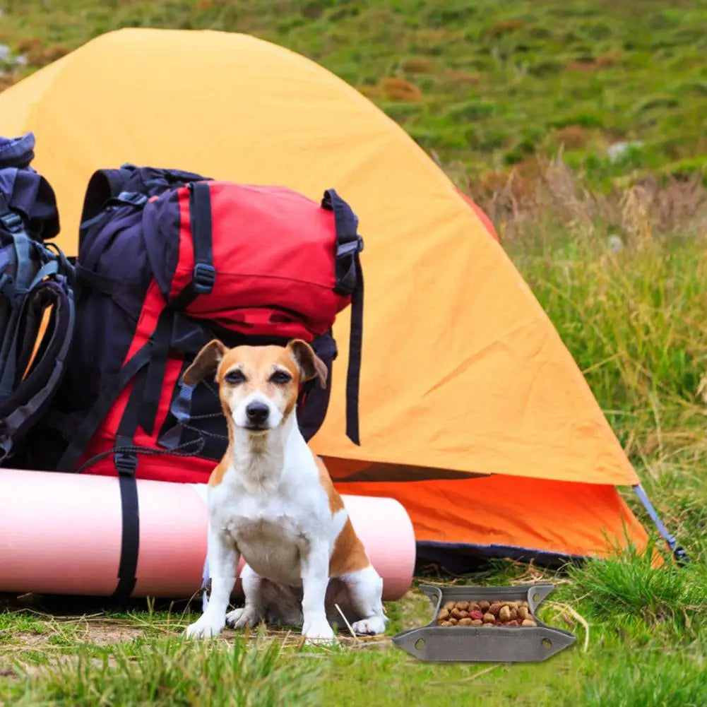 Camping Gear for Dogs